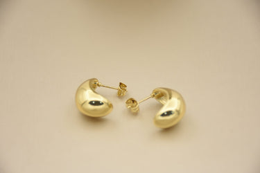 Opulent Adornments: 18K Gold-Plated Stainless Steel Earrings